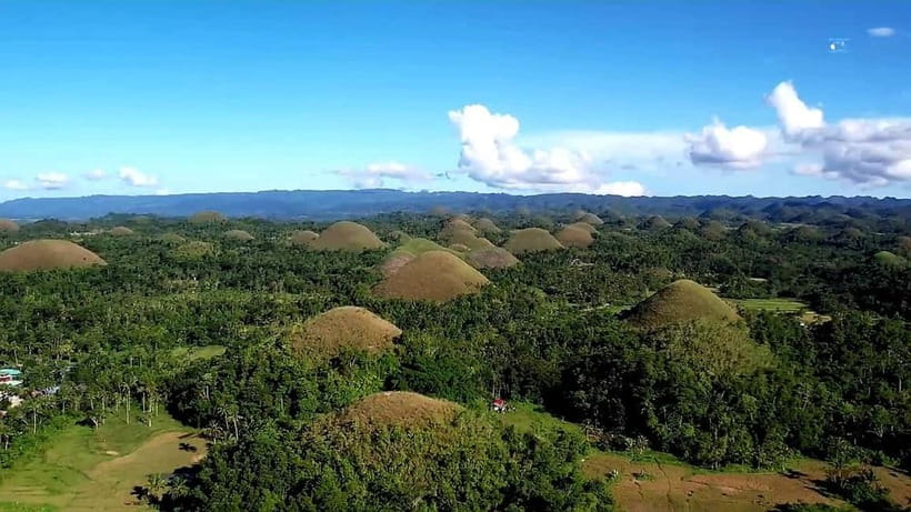 From Cebu: Bohol Countryside & Buffet Lunch Exclusive Tour - Driving through Bilar Man-Made Forest