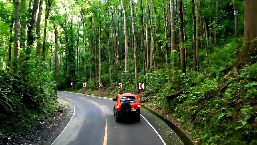 From Cebu: Bohol Countryside & Buffet Lunch Exclusive Tour - The private driver makes the long day easier