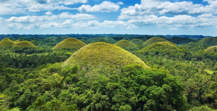 From Cebu City: Bohol Island Highlights in One Day - How the $154 price measures up