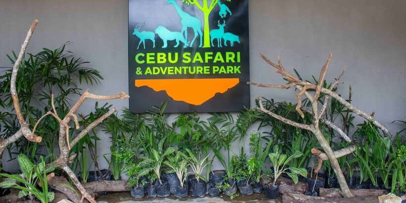 From Cebu City: Cebu Safari and Adventure Park Day Tour - White lions from France and Germany