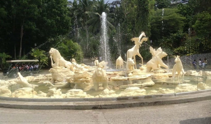 From Cebu City: Cebu Safari and Adventure Park Day Tour - African Savanna: plan around the opening days