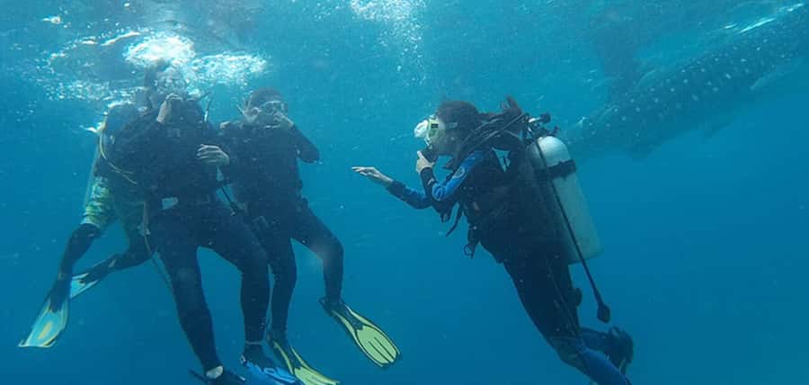 From Cebu City: Scuba Diving with Whale Sharks Trip in Oslob - Getting fitted with the scuba equipment