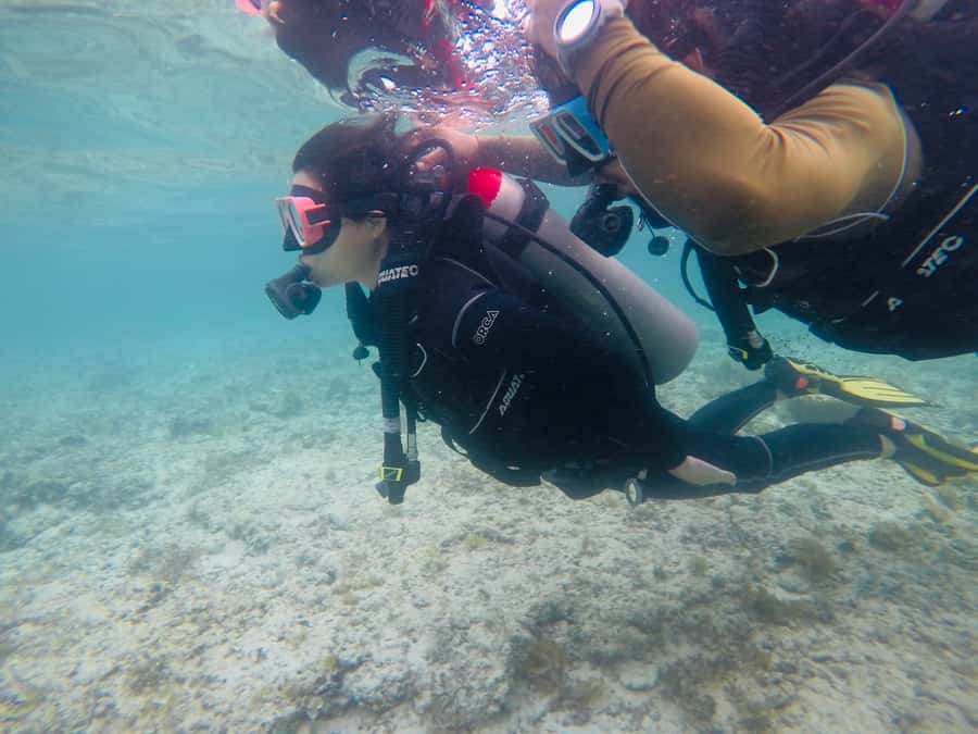 From Cebu City: Scuba Diving with Whale Sharks Trip in Oslob - What the 30 to 40 minute whale shark session is like