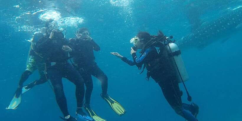 From Cebu City: Scuba Diving with Whale Sharks Trip in Oslob - The long day and the practical limits