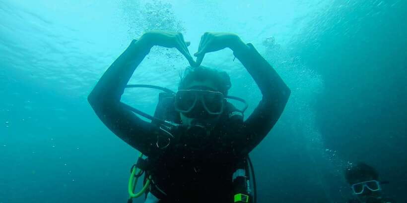 From Cebu City: Scuba Diving with Whale Sharks Trip in Oslob - Photos, meals, and what to pack
