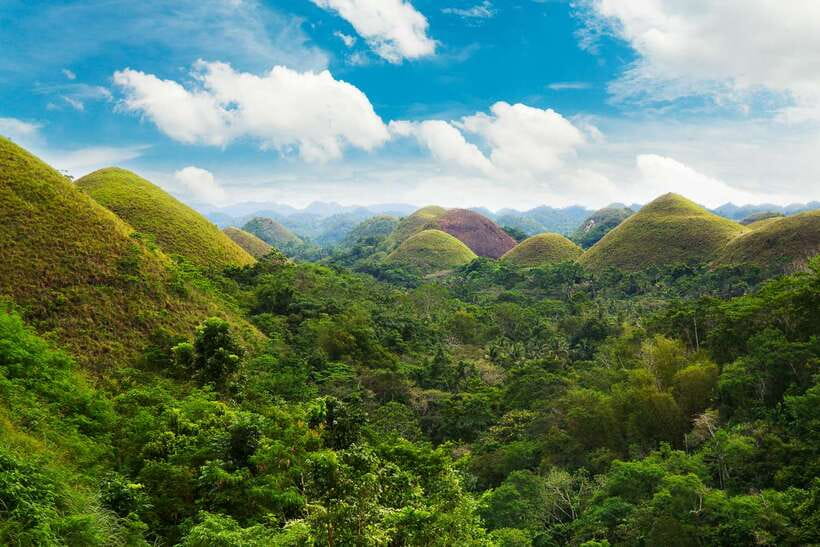 From Cebu: Day Trip to Bohol Highlights - Key points to know before booking