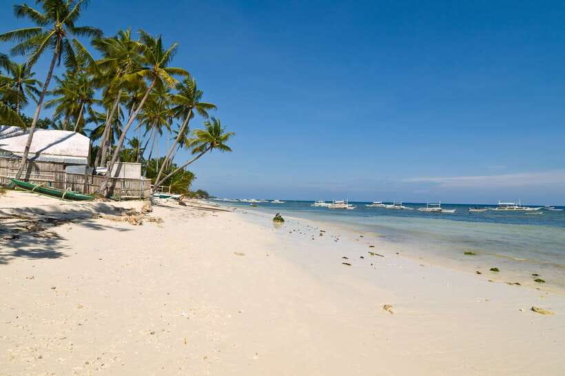 From Cebu: Day Trip to Bohol Highlights - The Bilar Man-Made Forest and rural Bohol