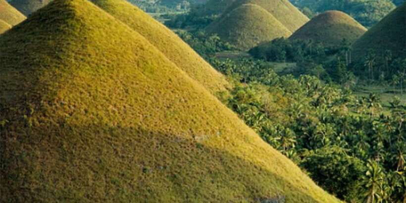 From Cebu: Full-Day Bohol Excursion - Why this Cebu to Bohol day trip works