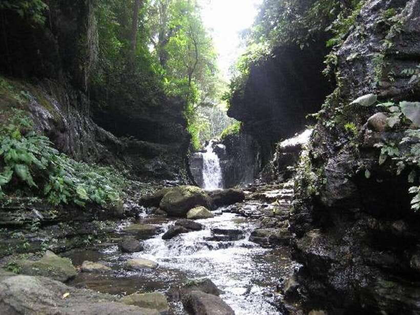 From Manila: Day Tour to Enchanting Hidden Valley - Key points to know before you book