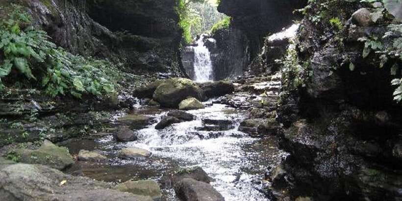 From Manila: Day Tour to Enchanting Hidden Valley - Who should book this Hidden Valley day tour?