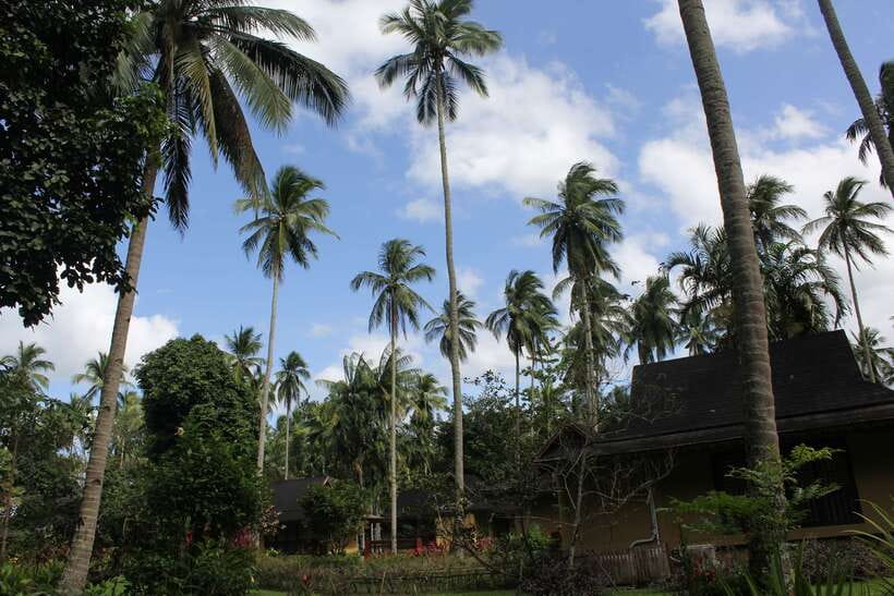 From Manila: Day Tour to Enchanting Hidden Valley - A provincial stop and the road south