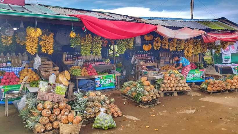 From Manila: Tagaytay Countryside Wonders: A Half-Day Tour - The guide can make or break the experience