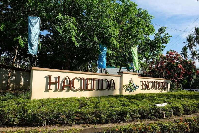 From Manila: Villa Escudero Guided Tour - The Manila pickup and two-hour ride to Quezon
