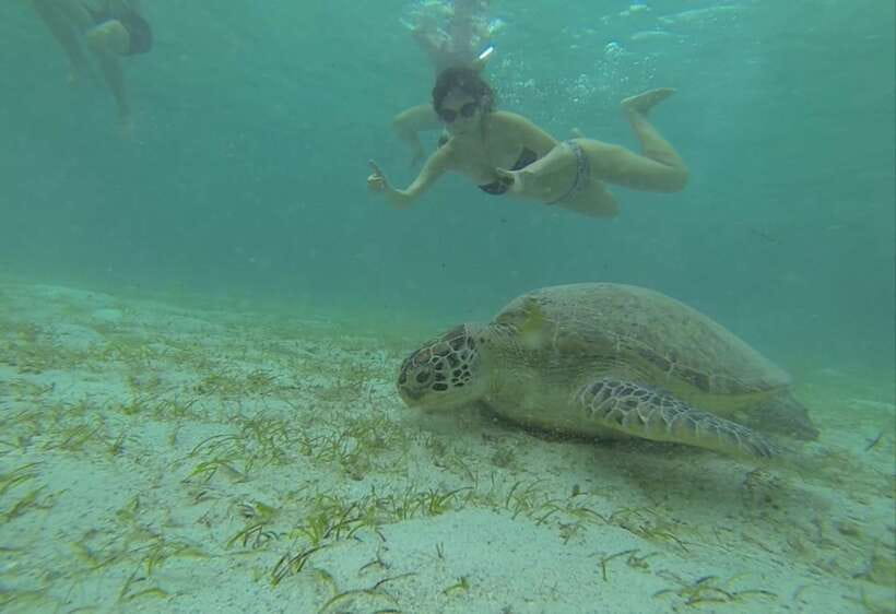 From Puerto Princesa: Port Barton & Island Hopping Day Trip - Exotic or Maxima Island for sand and swimming
