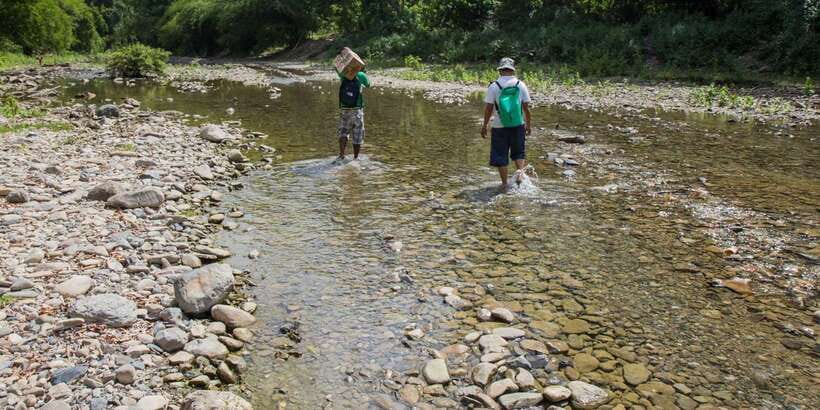 From Puerto Princesa: Trek to Batak Tribe Village - Who will enjoy this Batak trek