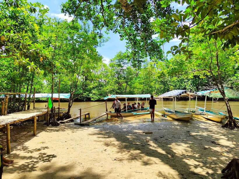 From Puerto Princesa: Underground River Guided Day Trip - Key points to know before booking