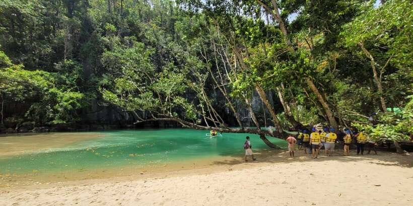 From Puerto Princesa: Underground River Guided Day Trip - Forest, wildlife, and the limestone setting