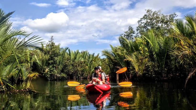 From Tagbilaran City/Panglao Island: Bohol Mangrove Kayaking - Steering through Bohol’s mangrove tunnels