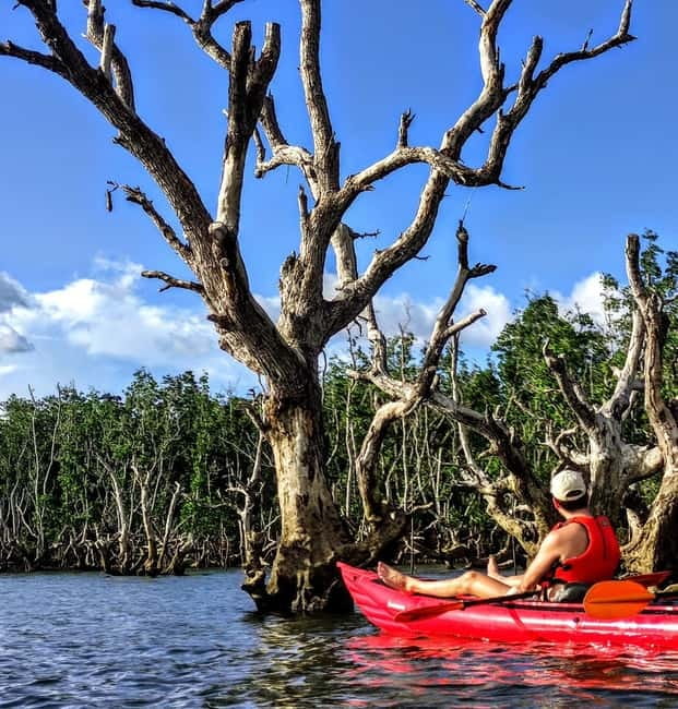 From Tagbilaran City/Panglao Island: Bohol Mangrove Kayaking - Food, drinks, and the welcome pause after paddling