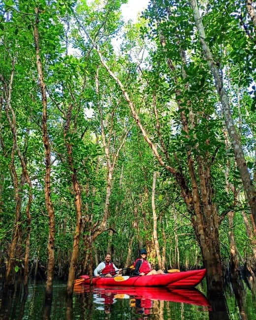 From Tagbilaran City/Panglao Island: Bohol Mangrove Kayaking - Who will enjoy this paddle most?
