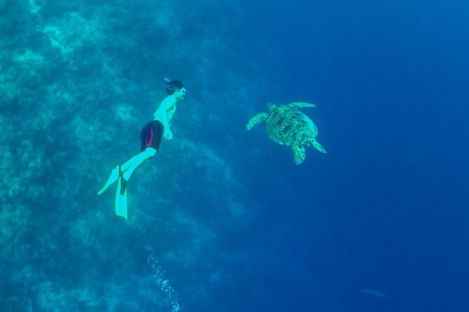 Full-Day Moalboal Islands and Kawasan Falls Small-Group Tour from Cebu - A very early start from Cebu