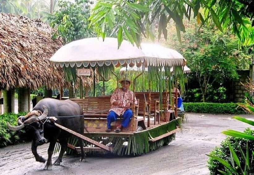 Full Day Tour Villa Escudero Plantation - Why the plantation makes a good day trip