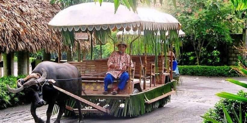 Full Day Tour Villa Escudero Plantation - Practical advice for a smoother day