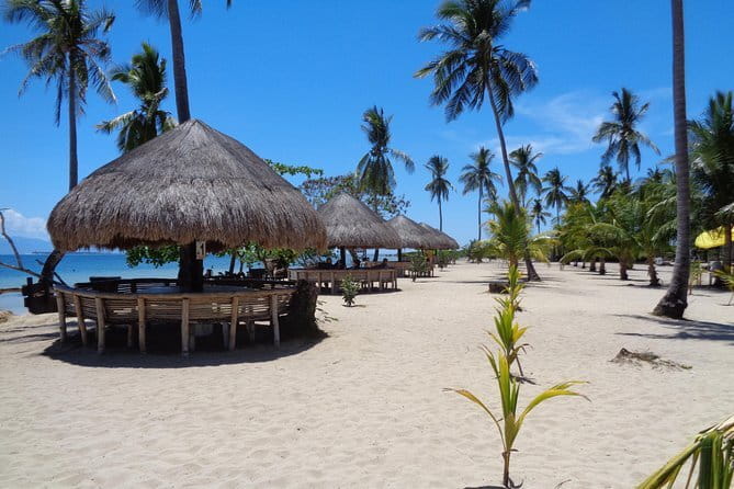 Joiners Honda Bay Island Hopping Tour - Starfish Island: The Best Place for Fish Viewing