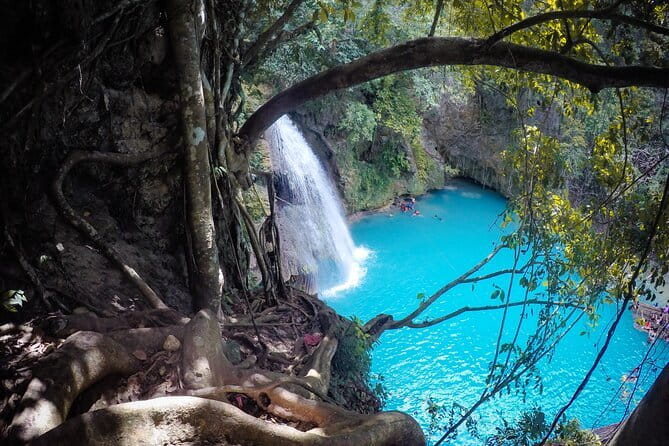 Kawasan Falls Canyoneering Tour from Moalboal - Who should book this Kawasan Falls tour