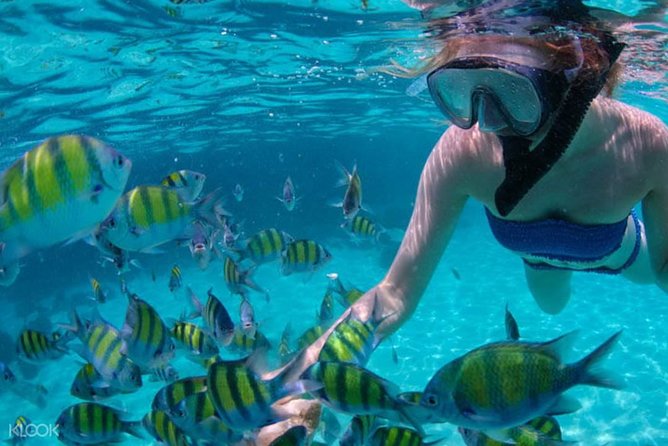 Mactan Cebu Island Hopping with Lunch - Gilutungan, Caohagan, Nalusuan - Caohagan Island brings the clearest beach break