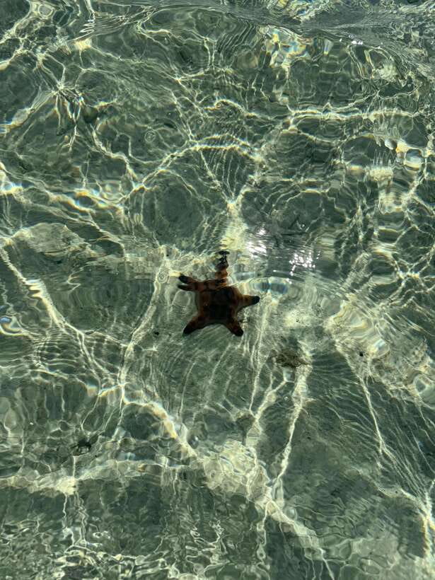 Mactan Island Hopping Gilutungan, Caohagan, Nalusuan + Lunch - What the $132 price really covers