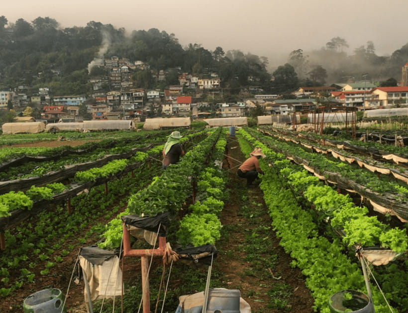 Manila: 3-Day Sagada, Baguio, & Banaue Rice Terraces Tour - What to pack for the mountain roads