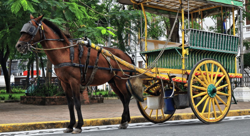 MANILA: HISTORICAL KALESA RIDE TOUR EXPERIENCE IN INTRAMUROS - Starting at Fort Santiago