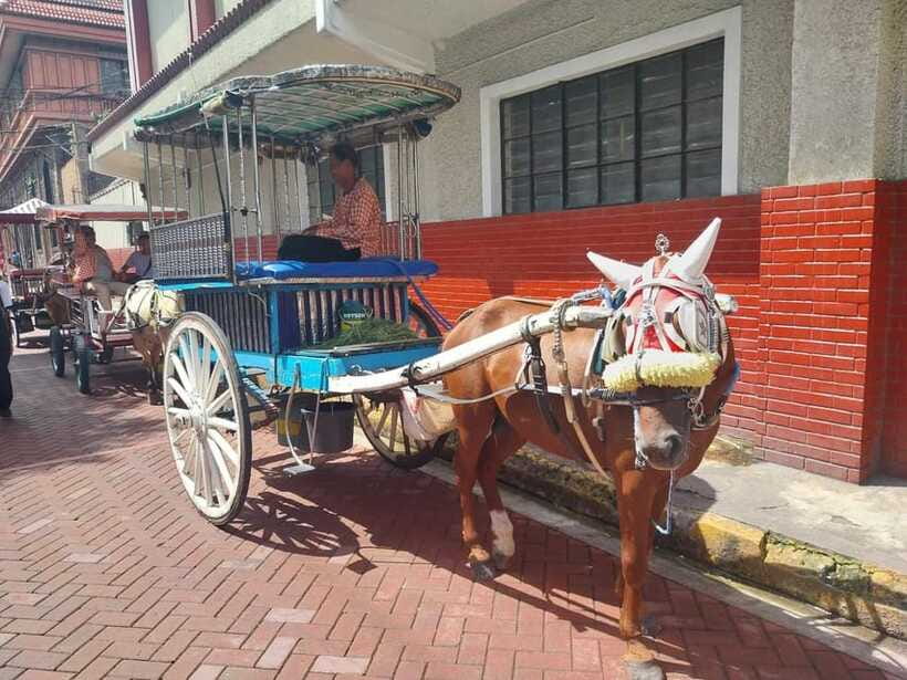 Manila: Intramuros and Chinatown Food Tour with Food Samples - Who should book this experience?
