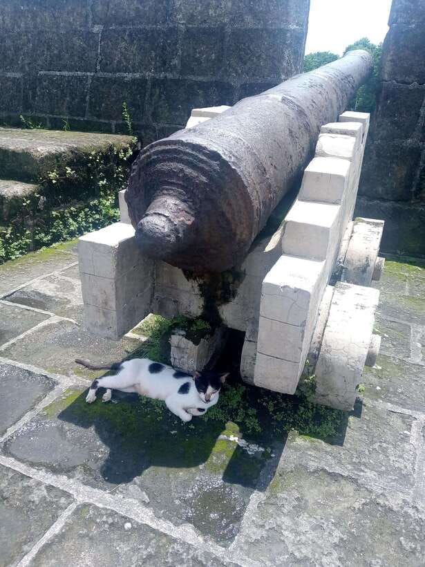 Manila: Intramuros Tour ( Dark) - The dungeons and the cost of war