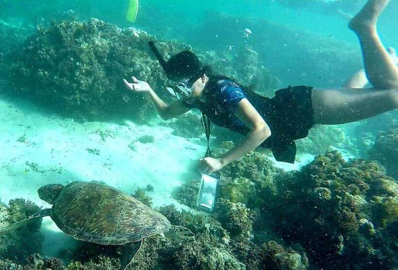 Moalboal: Pescador Island Hopping Adventure and Sardine Run - What snorkeling at Pescador Island is like