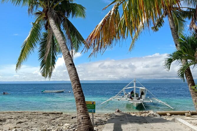 Moalboal Sardine Run, Sea Turtle and Mantayupan Falls - Who will get the most from this Cebu day