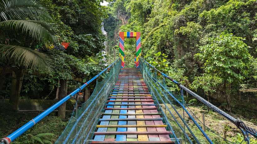 Moalboal Sardine Run, Sea Turtle & Mantayupan Falls - Key points to know before booking