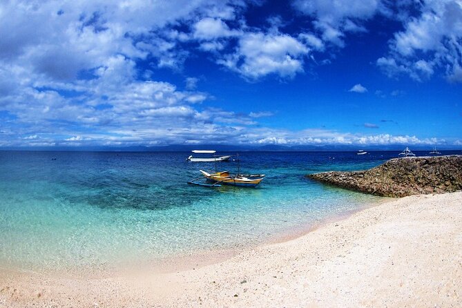 Moalboal Sardines Run Private Tour w/ Transfers Option - Is the $20 Price Good Value?