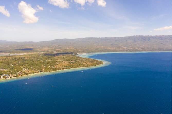 Moalboal Sardines Run Private Tour w/ Transfers Option - The Best Time to Go