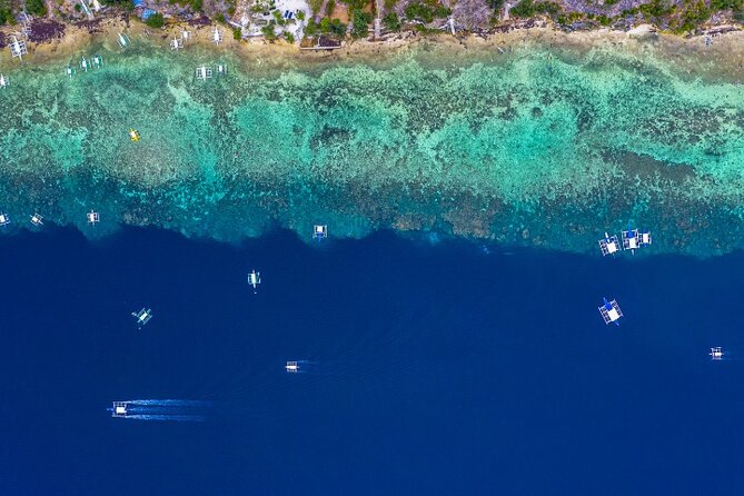 Moalboal Sardines Run Private Tour w/ Transfers Option - Who Will Enjoy This Most