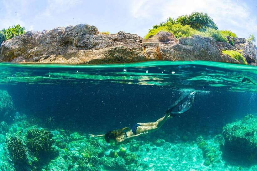Moalboal: Scuba Diving and Pescador Island Hopping - Food, equipment, and what the price covers