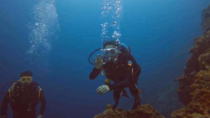 Moalboal: Scuba Diving and Pescador Island Hopping - Should you book the Moalboal scuba trip?