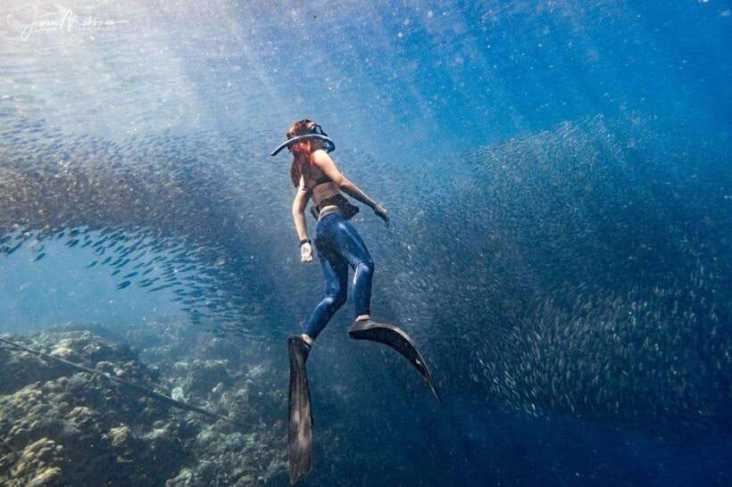 Moalboal: Scuba Diving and Pescador Island Hopping - The trip from Moalboal to Pescador Island