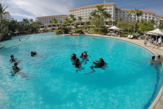 Open Water Course (PADI) - The underwater setting around Mactan