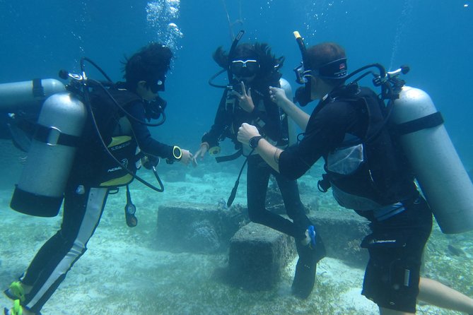 Open Water Course (PADI) - Learning with Michel and Freddie