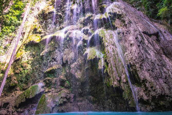 Oslob Whale Shark Private Tour with Sumilon & Tumalog Falls - What the $198.45 price means