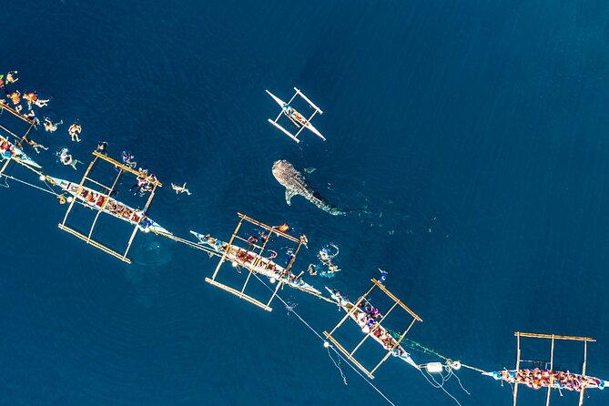 Oslob Whale Shark Private Tour with Sumilon & Tumalog Falls - Sumilon Island brings a slower two-hour pause