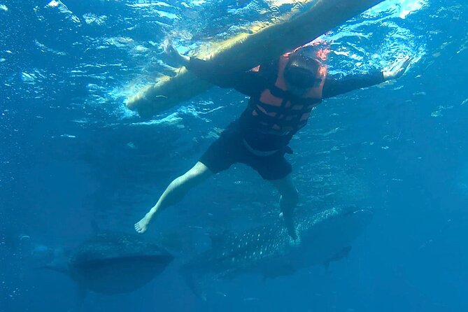 Oslob Whale Shark Snorkeling & Kawasan Canyoning Tour - The 3 a.m. pickup and long ride south