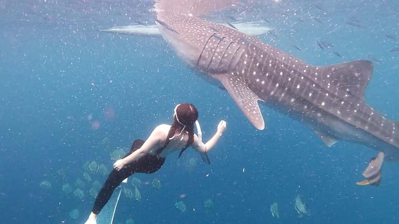Oslob Whale Shark Swimming & Kawasan Falls Canyoneering - Entering Kawasan Falls canyon